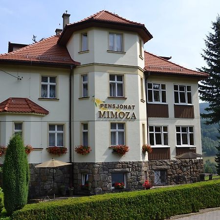 Pensjonat Mimoza Świeradów-Zdrój Dış mekan fotoğraf